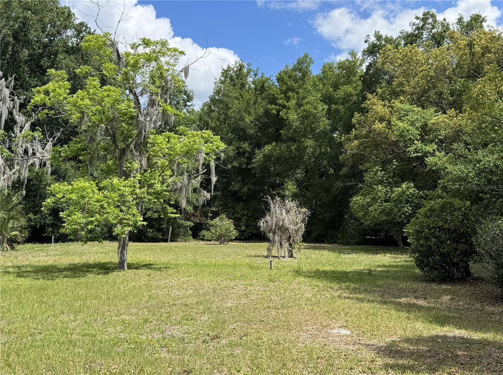 65 HOWARD ST, UMATILLA, FL — photo 9