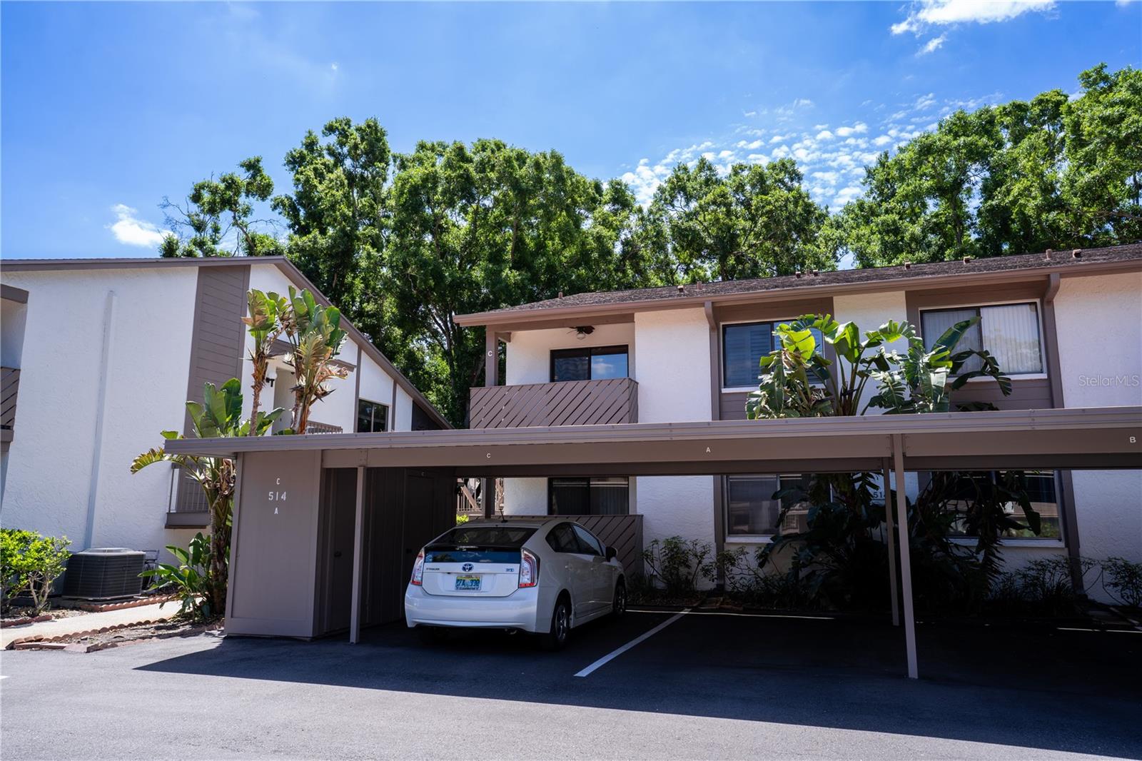514 TABOR CT #C, SAFETY HARBOR, FL — photo 4