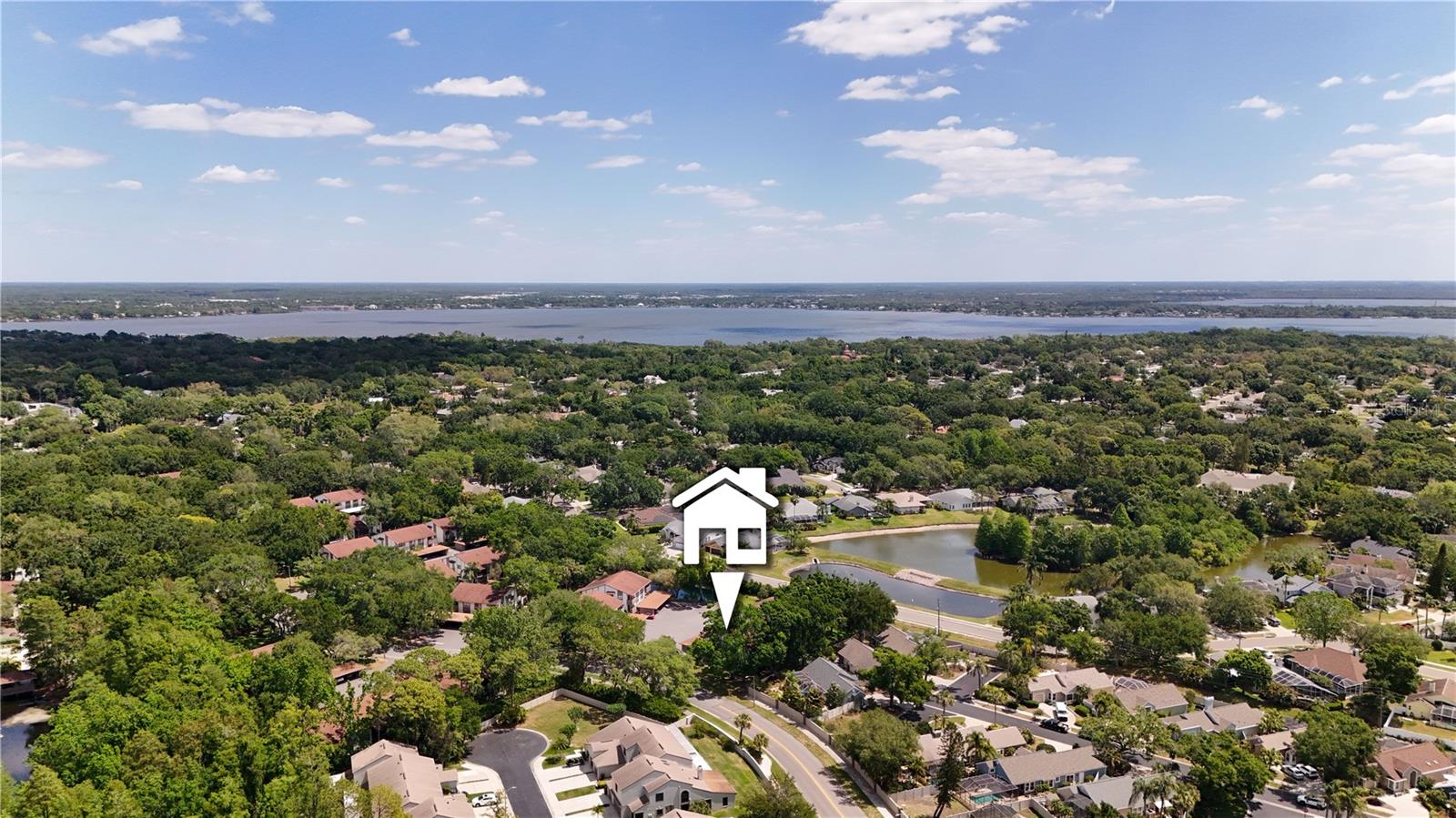 514 TABOR CT #C, SAFETY HARBOR, FL — photo 31