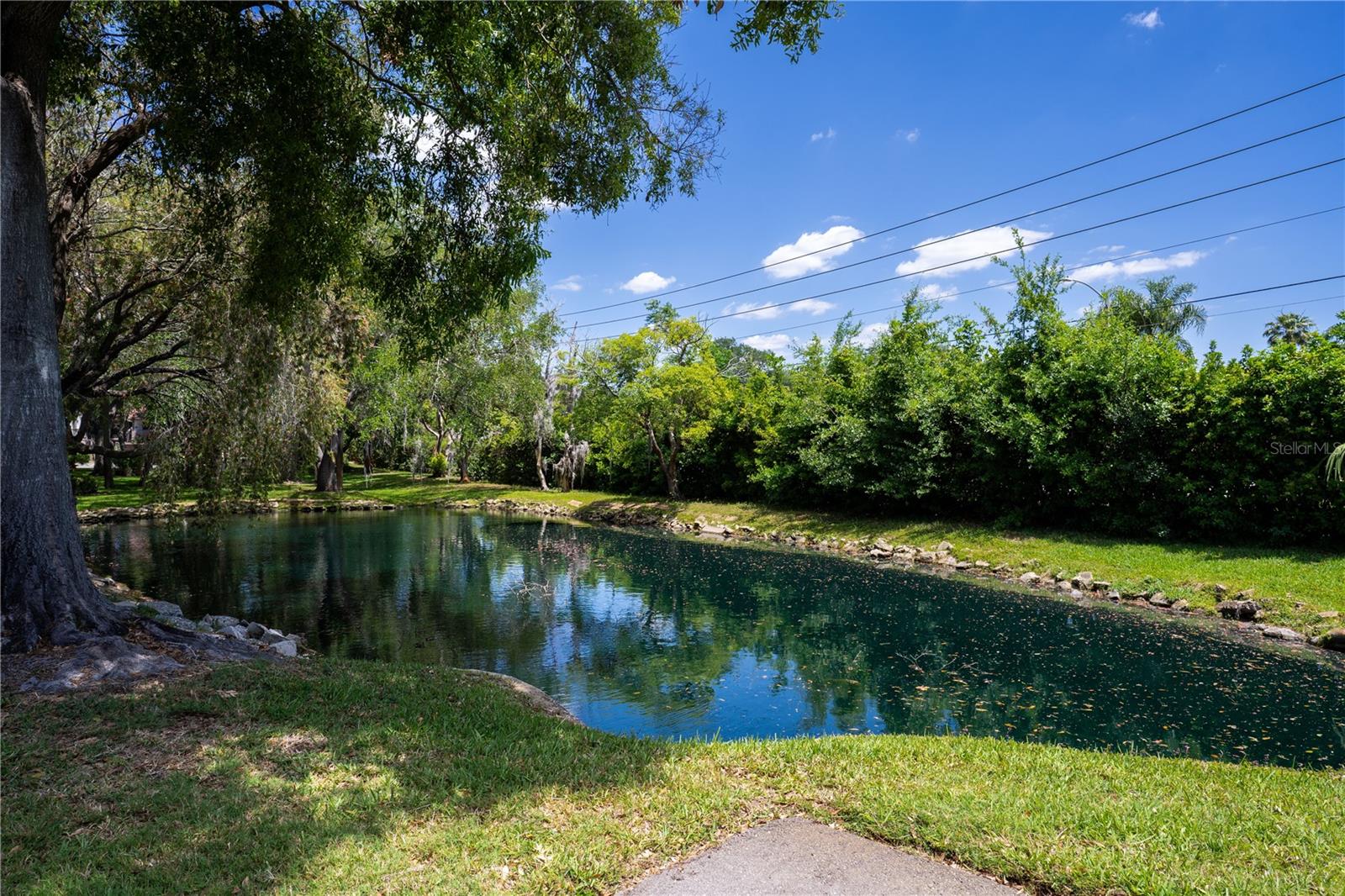 514 TABOR CT #C, SAFETY HARBOR, FL — photo 41