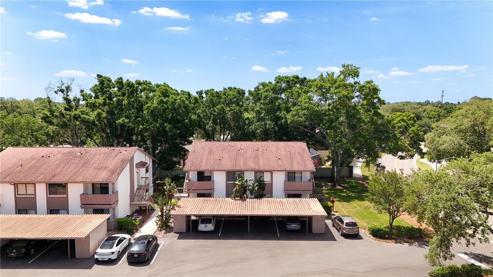514 TABOR CT #C, SAFETY HARBOR, FL — photo 42