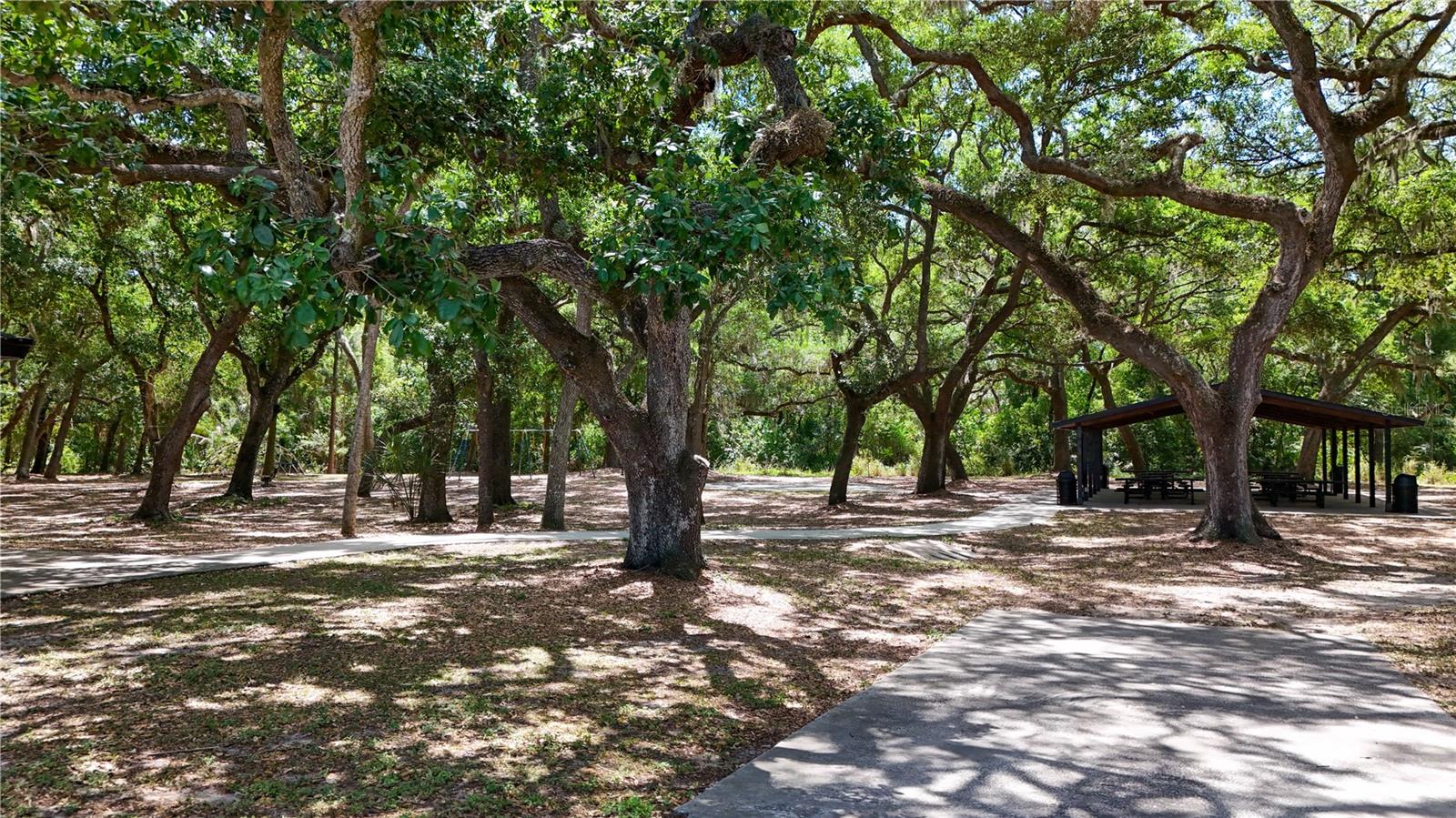514 TABOR CT #C, SAFETY HARBOR, FL — photo 46