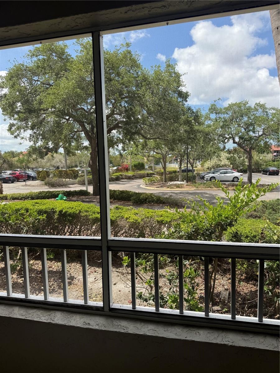 2333 FEATHER SOUND DR #B102, CLEARWATER, FL — photo 33