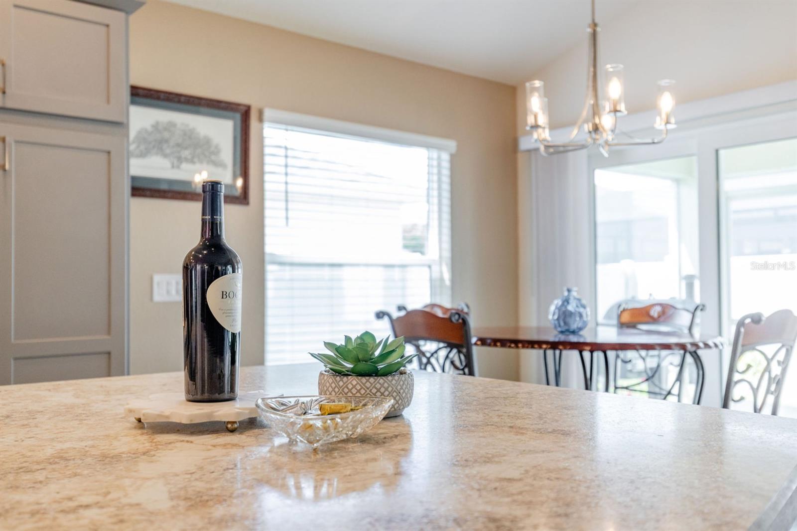 580 GOUGH PL, THE VILLAGES, FL — photo 11