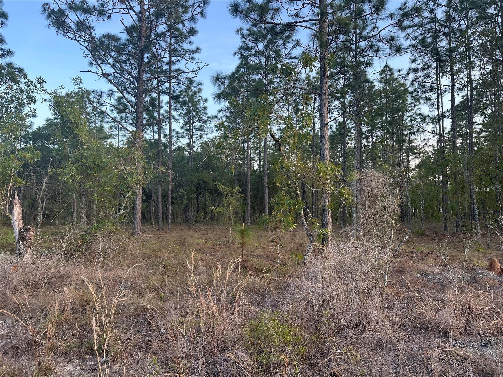 LOT 3 NW AMBERJACK AVE., DUNNELLON, FL