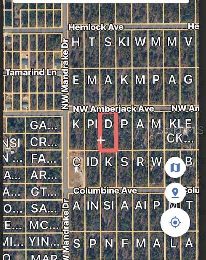 LOT 3 NW AMBERJACK AVE., DUNNELLON, FL — photo 3