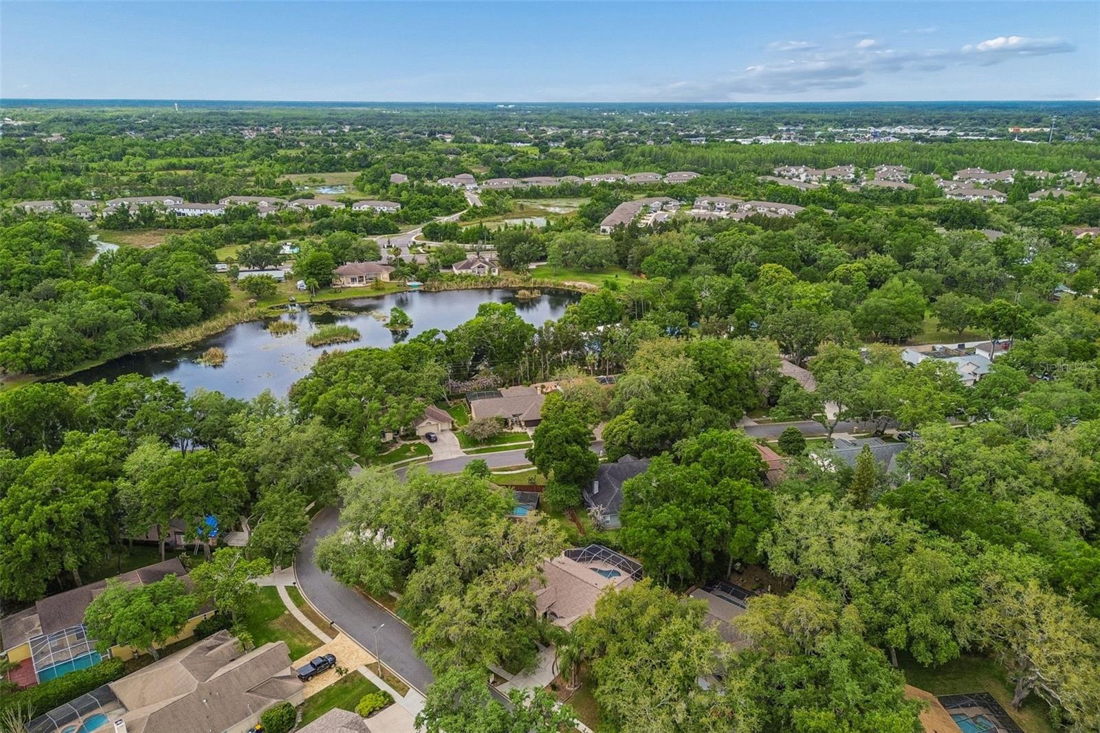1336 WATERWOOD DR, LUTZ, FL — photo 33