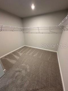 3490 TIMBER CROSSING AVE, BRANDON, FL — photo 23