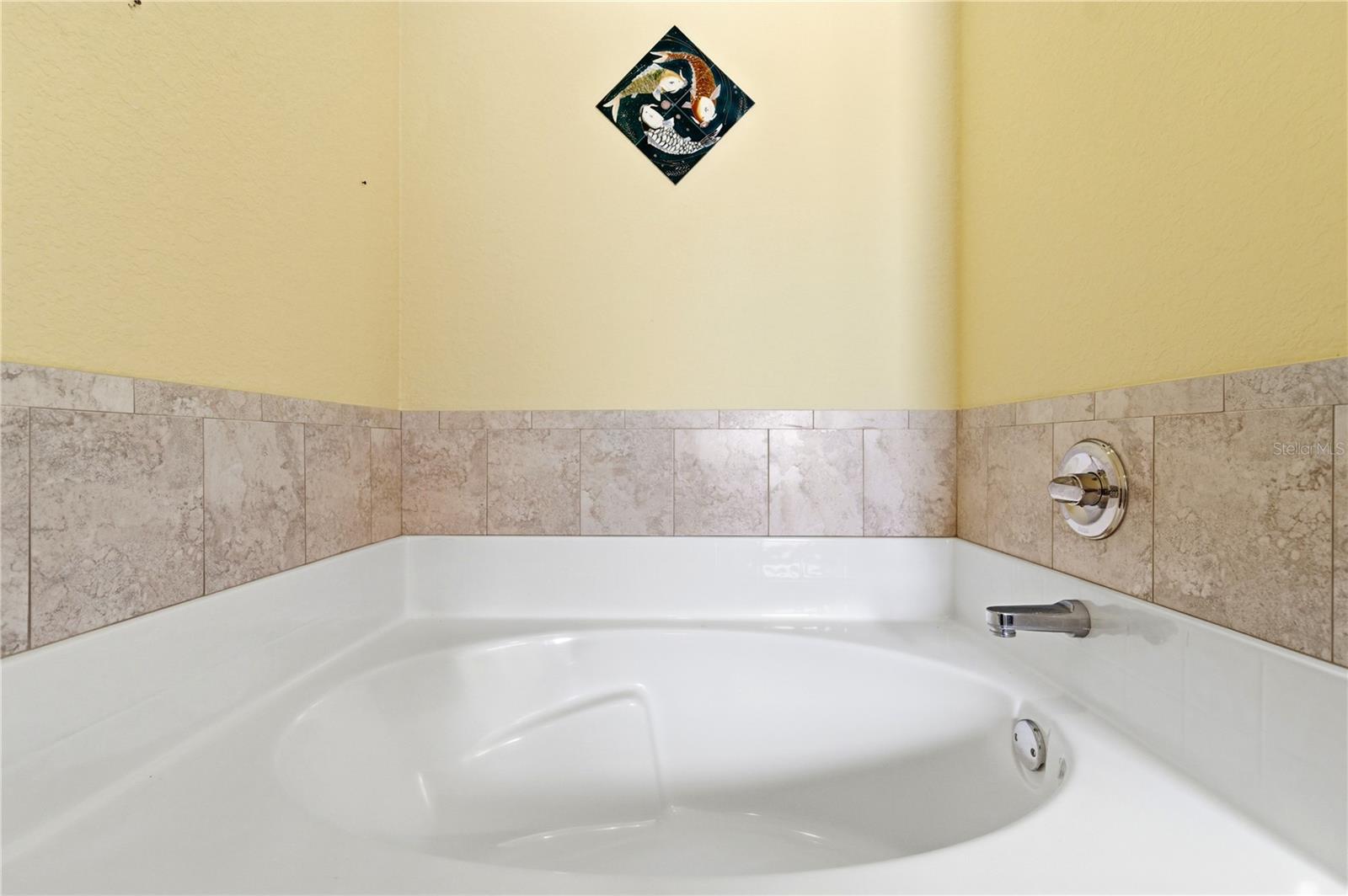 9551 JAYBIRD LN, LAND O LAKES, FL — photo 46