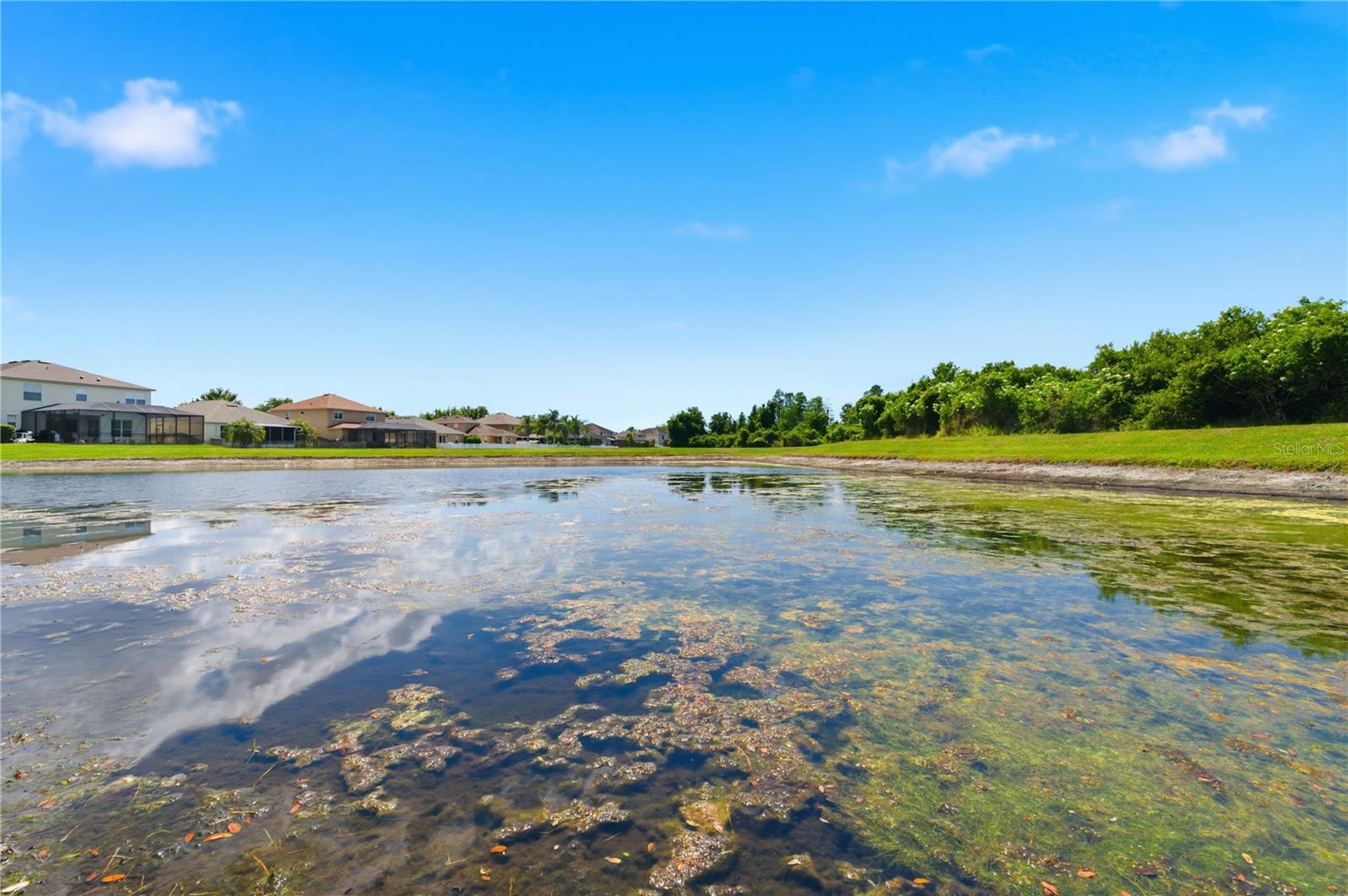 9551 JAYBIRD LN, LAND O LAKES, FL — photo 61