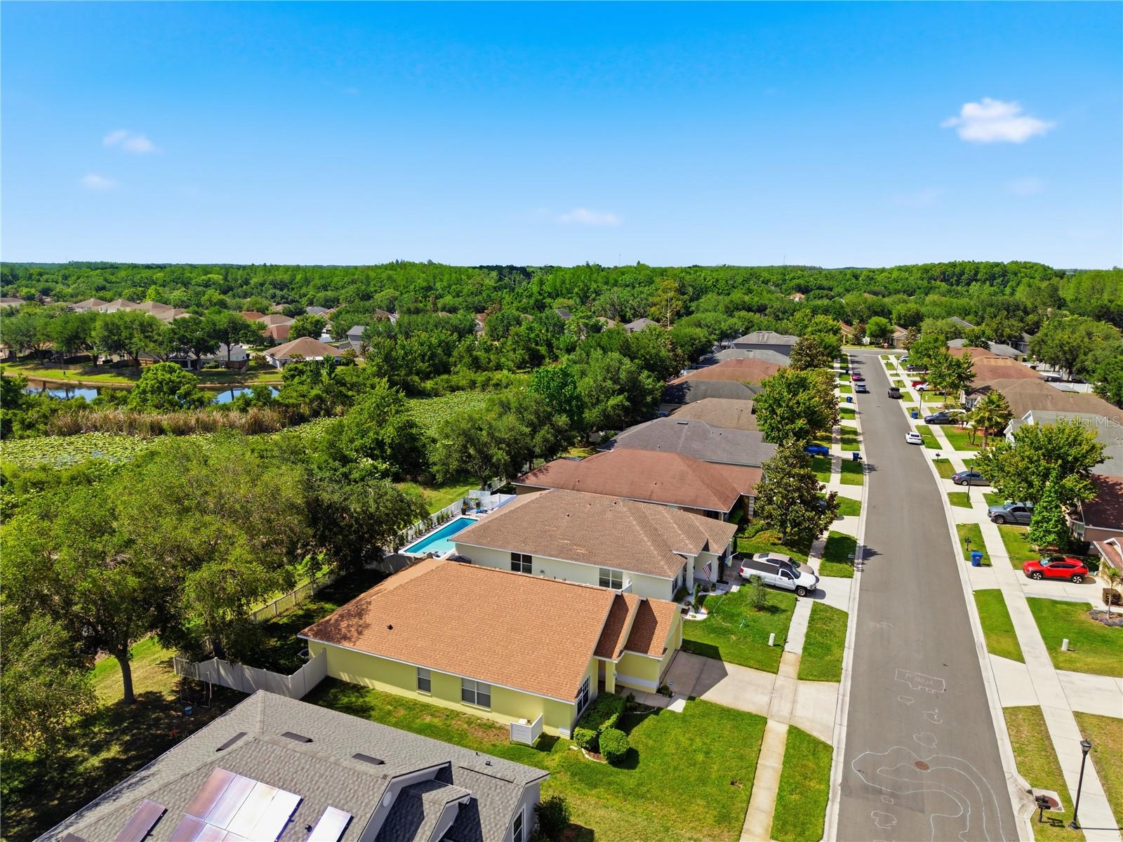 9551 JAYBIRD LN, LAND O LAKES, FL — photo 62
