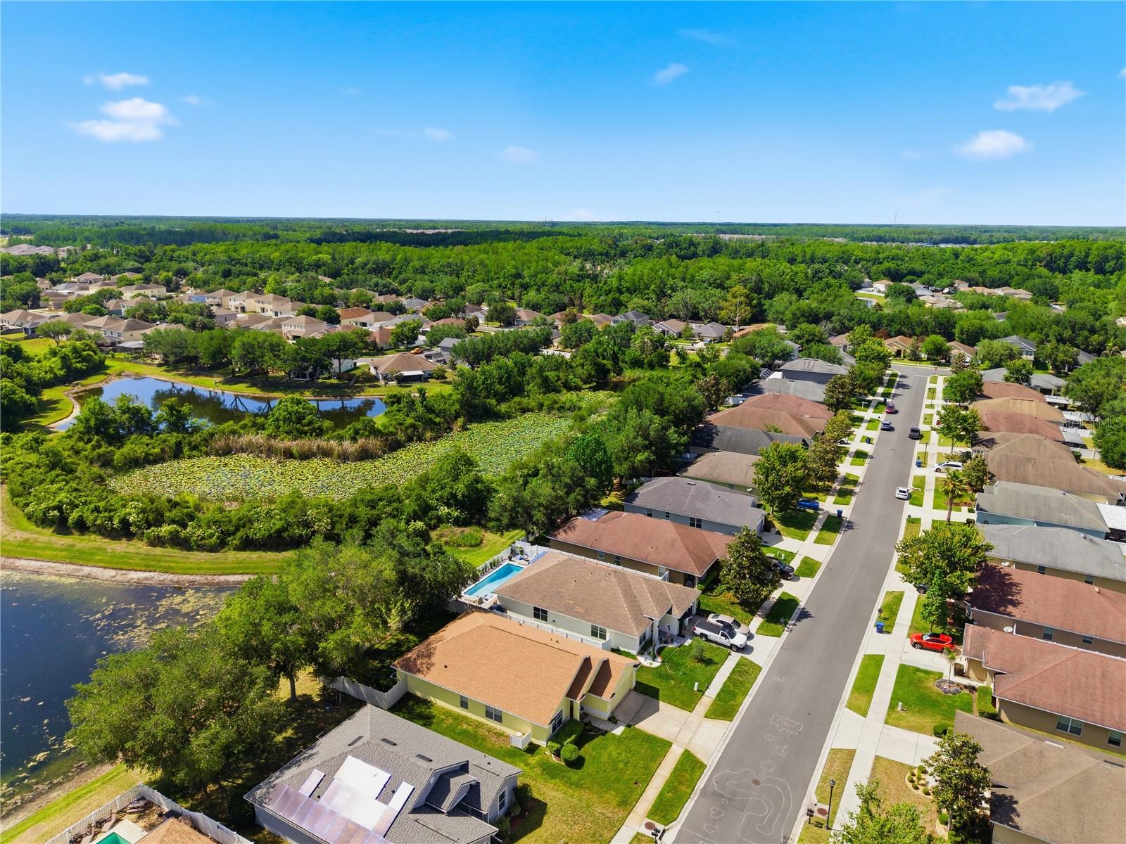 9551 JAYBIRD LN, LAND O LAKES, FL — photo 71