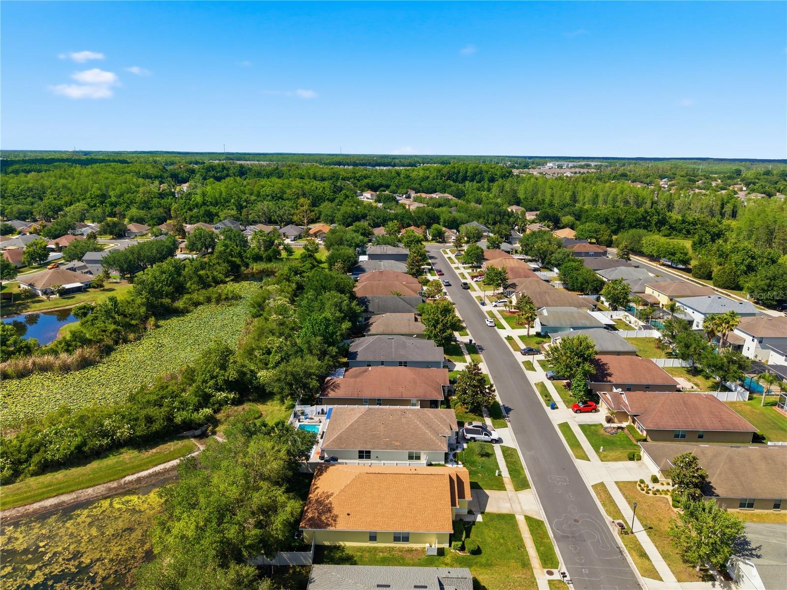 9551 JAYBIRD LN, LAND O LAKES, FL — photo 72