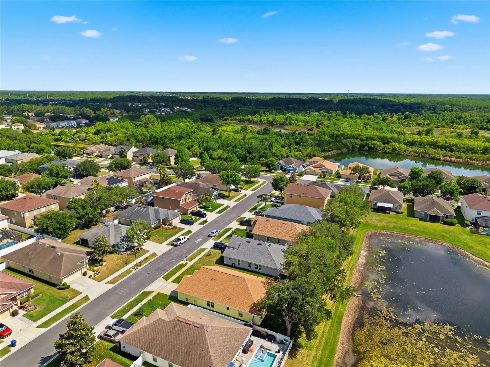 9551 JAYBIRD LN, LAND O LAKES, FL — photo 75