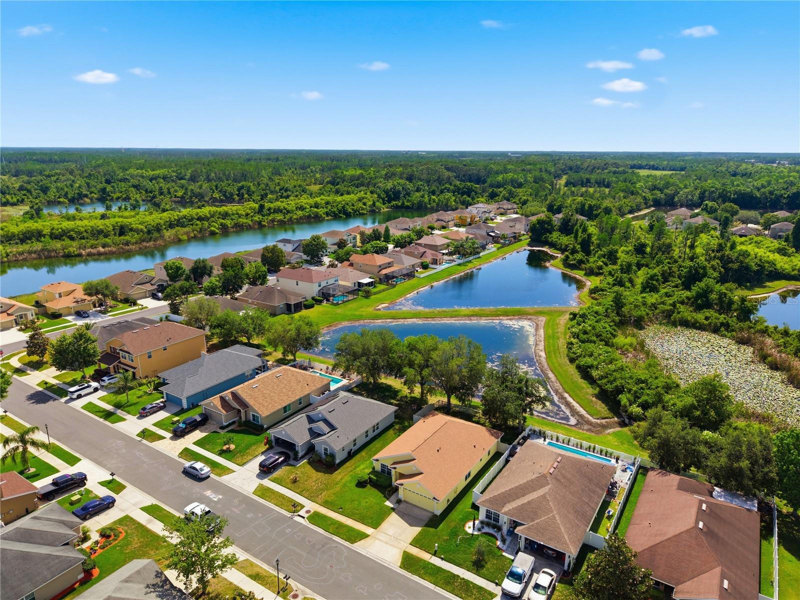 9551 JAYBIRD LN, LAND O LAKES, FL — photo 77