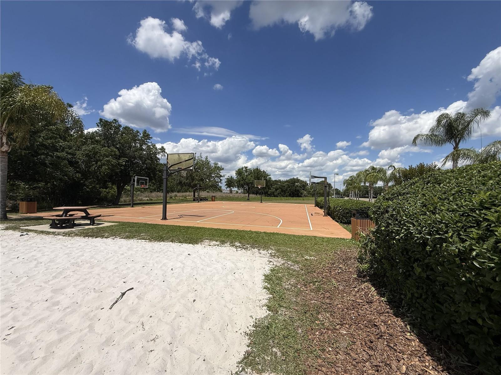 9551 JAYBIRD LN, LAND O LAKES, FL — photo 80