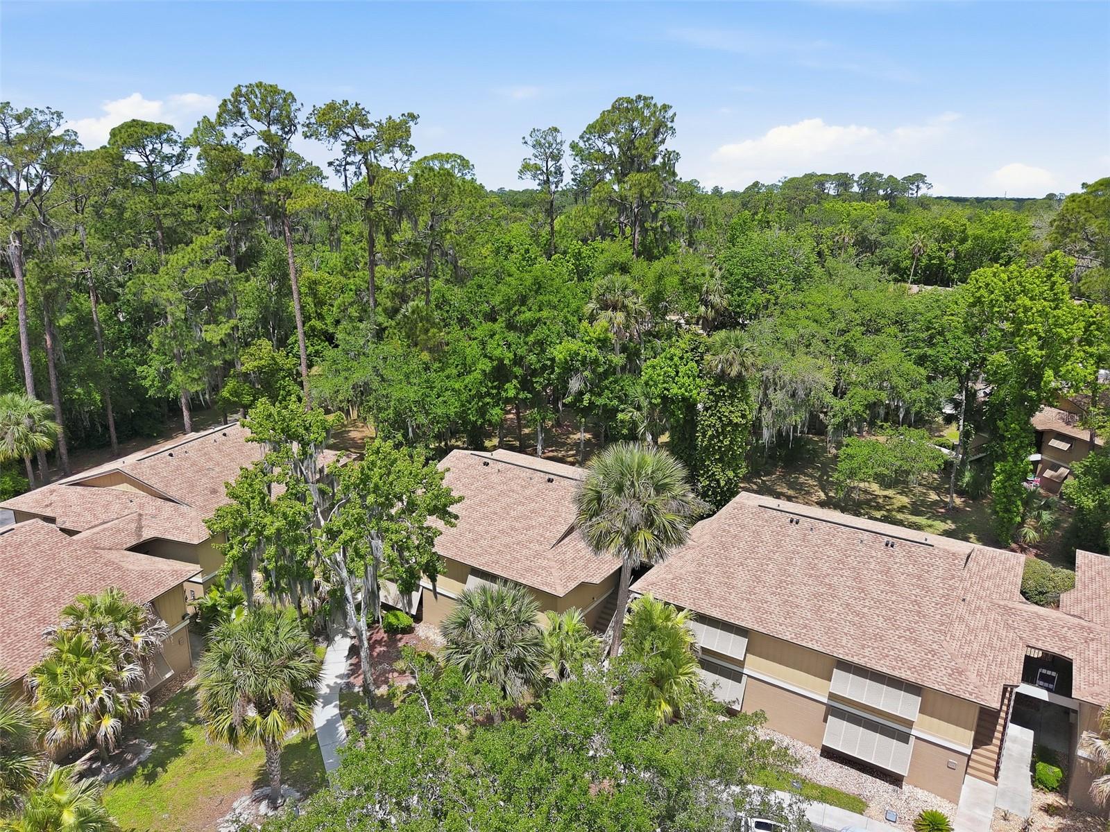 120 HIBISCUS WOODS CT #9B, DELTONA, FL — photo 23