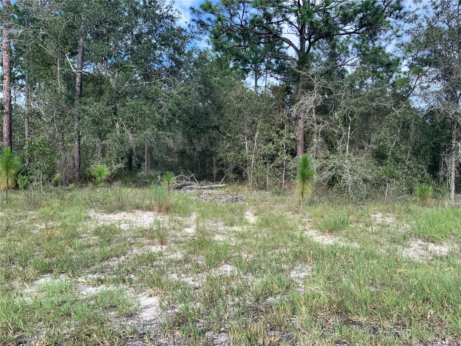 00 SE 139TH LOT 23 TER, MORRISTON, FL — photo 2