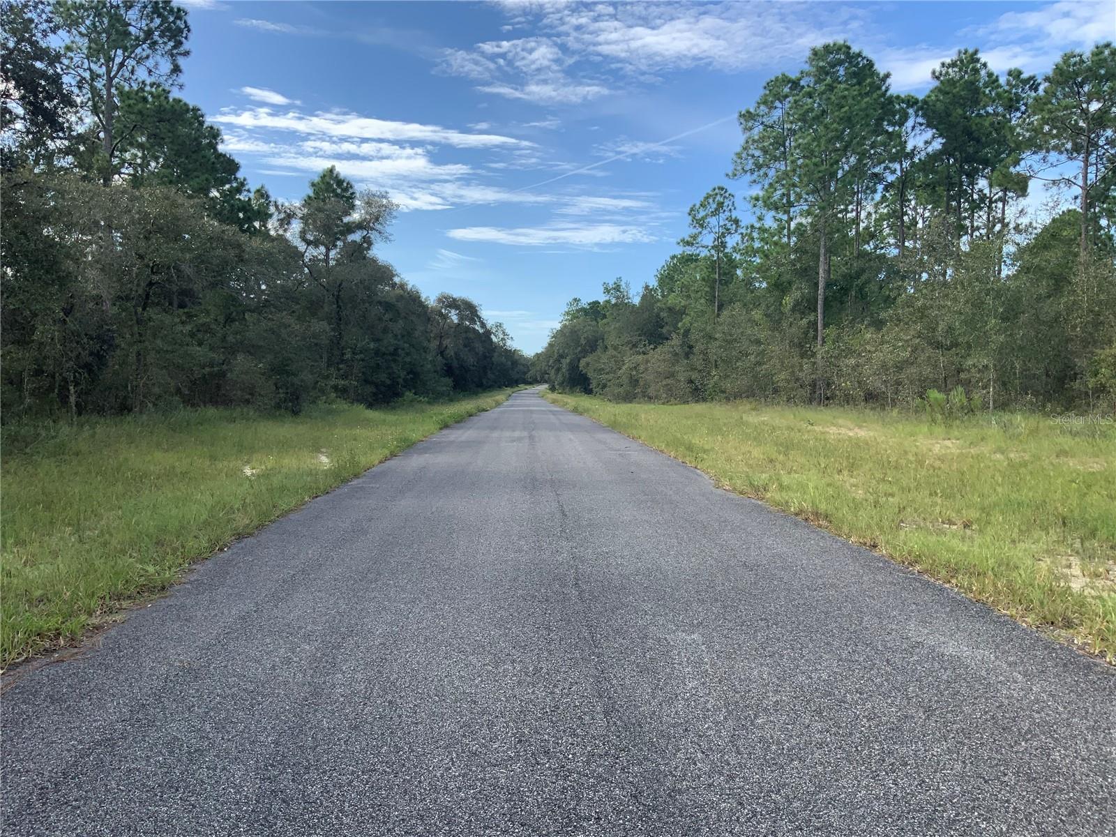 00 SE 139TH LOT 23 TER, MORRISTON, FL — photo 3