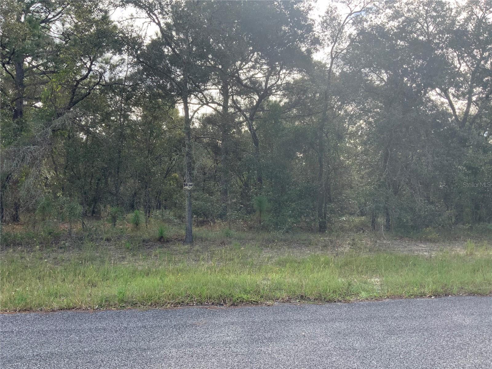 00 SE 139TH LOT 23 TER, MORRISTON, FL — photo 4
