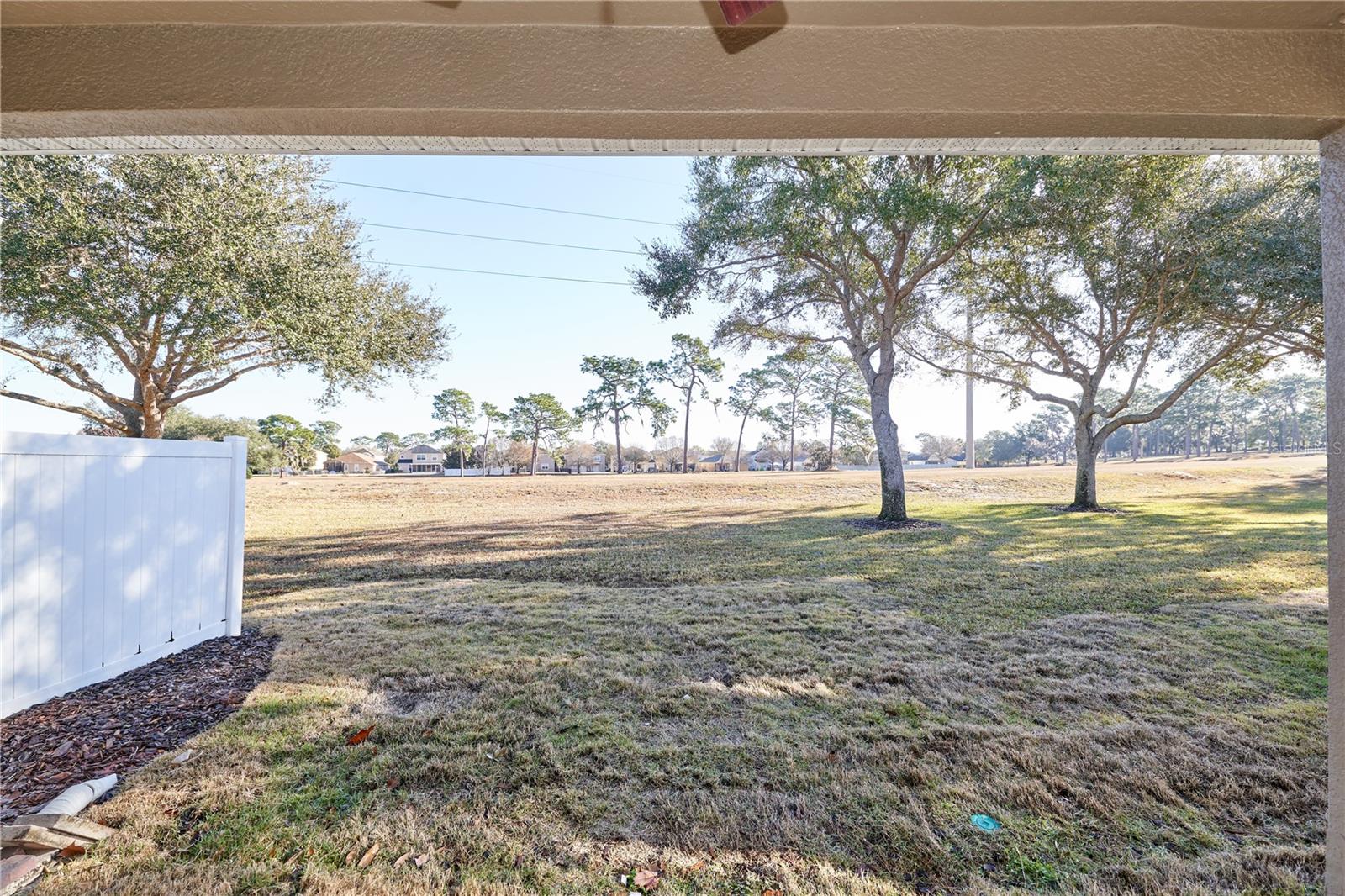23903 SARDINIA DR, SORRENTO, FL — photo 76