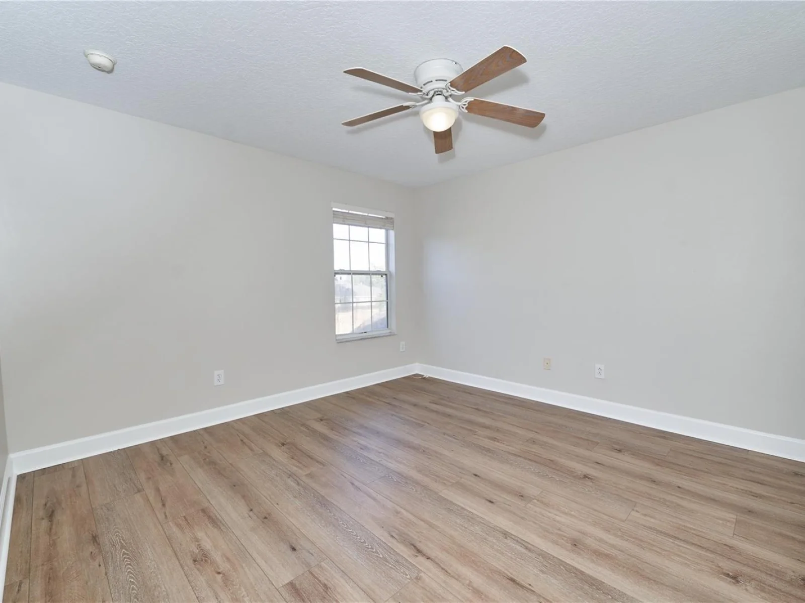23903 SARDINIA DR, SORRENTO, FL — photo 111