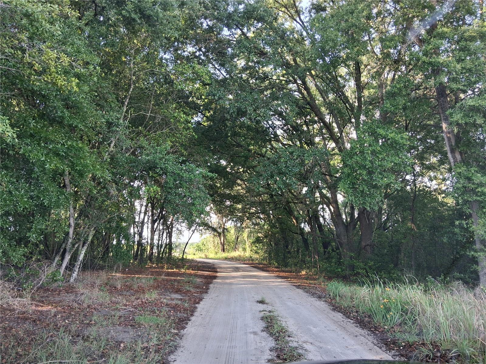 16451 FORREST LN, GROVELAND, FL — photo 3