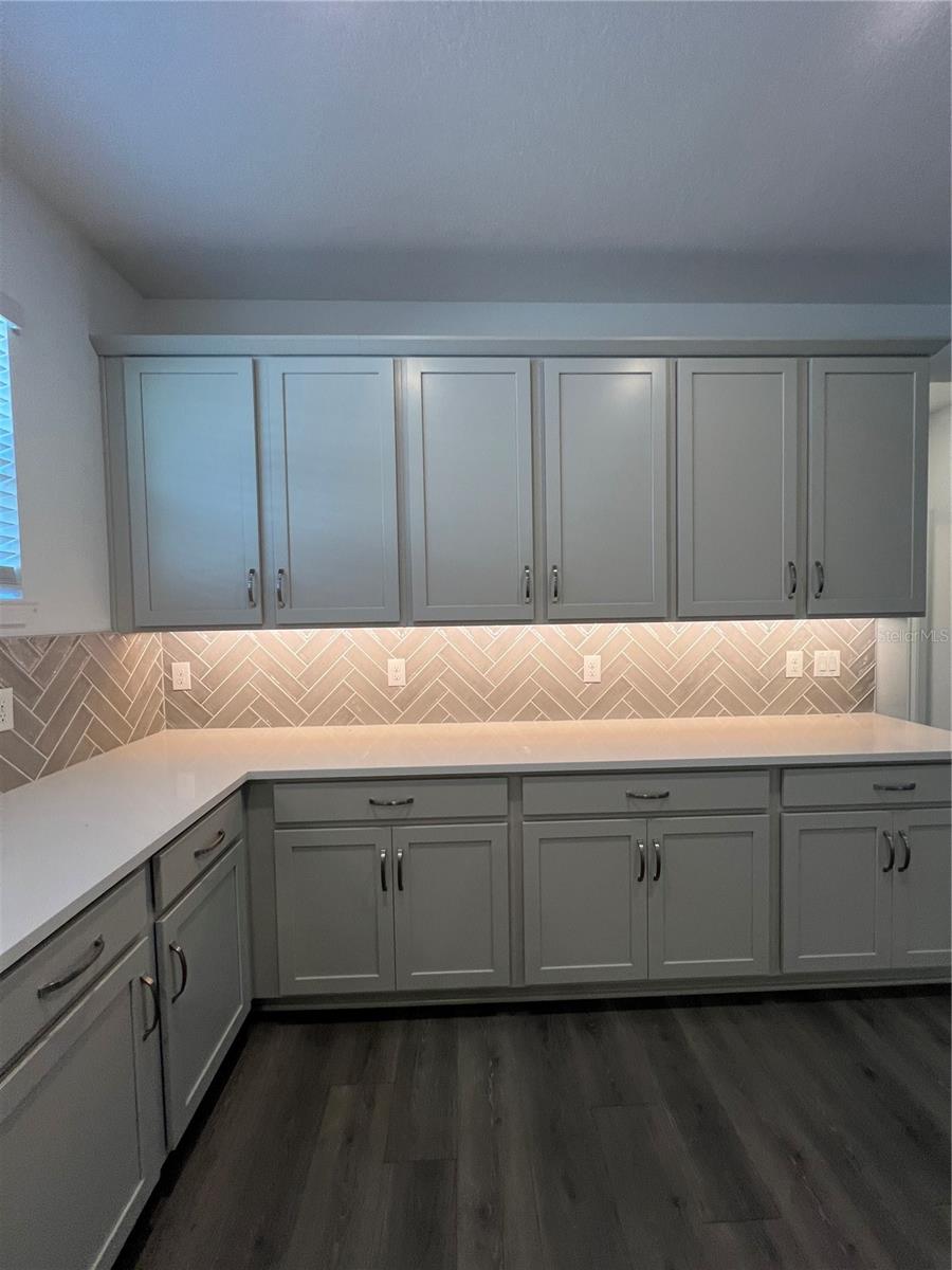 2367 JUNIPER BERRY DR, MINNEOLA, FL — photo 17