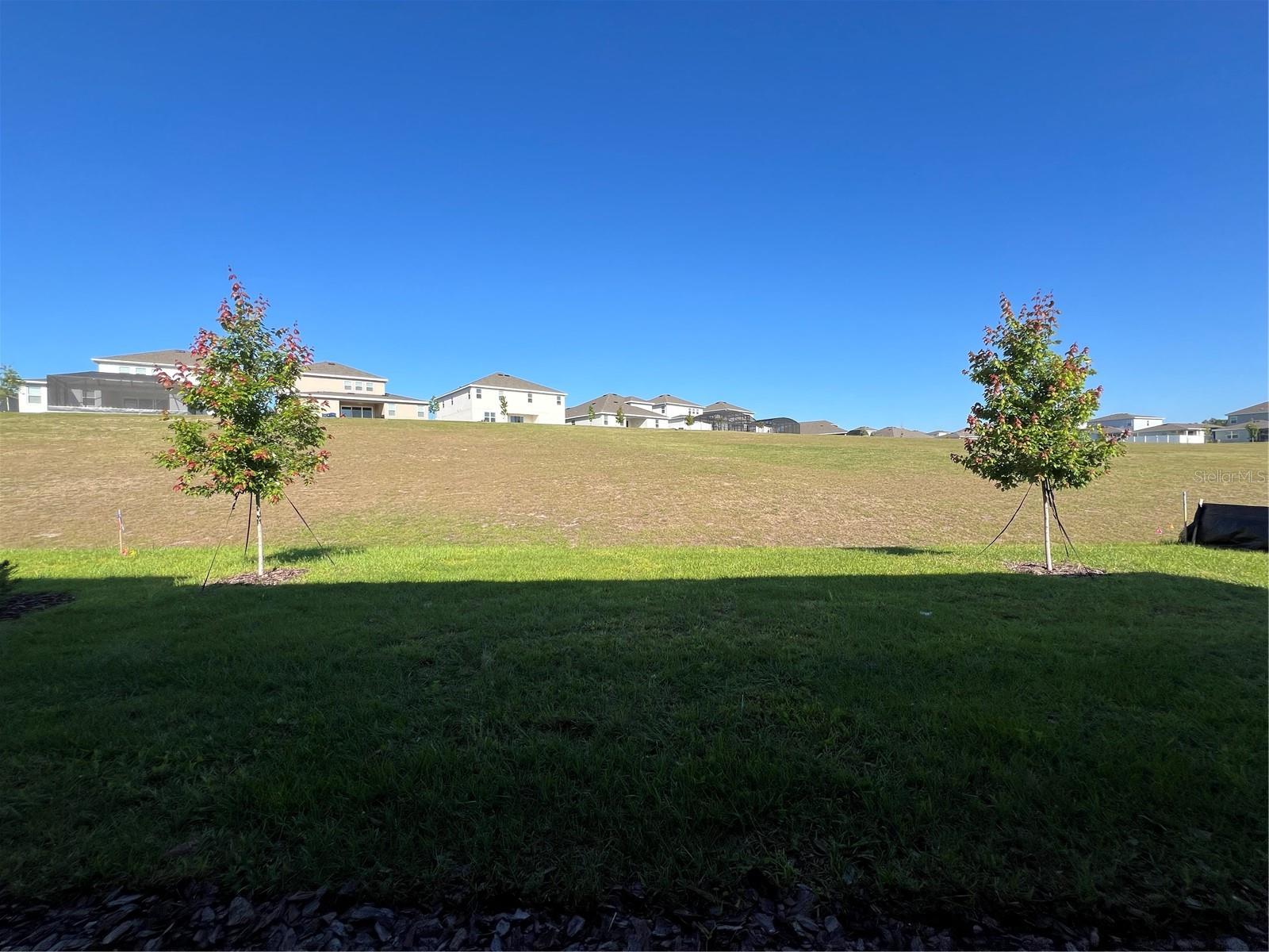 2367 JUNIPER BERRY DR, MINNEOLA, FL — photo 41
