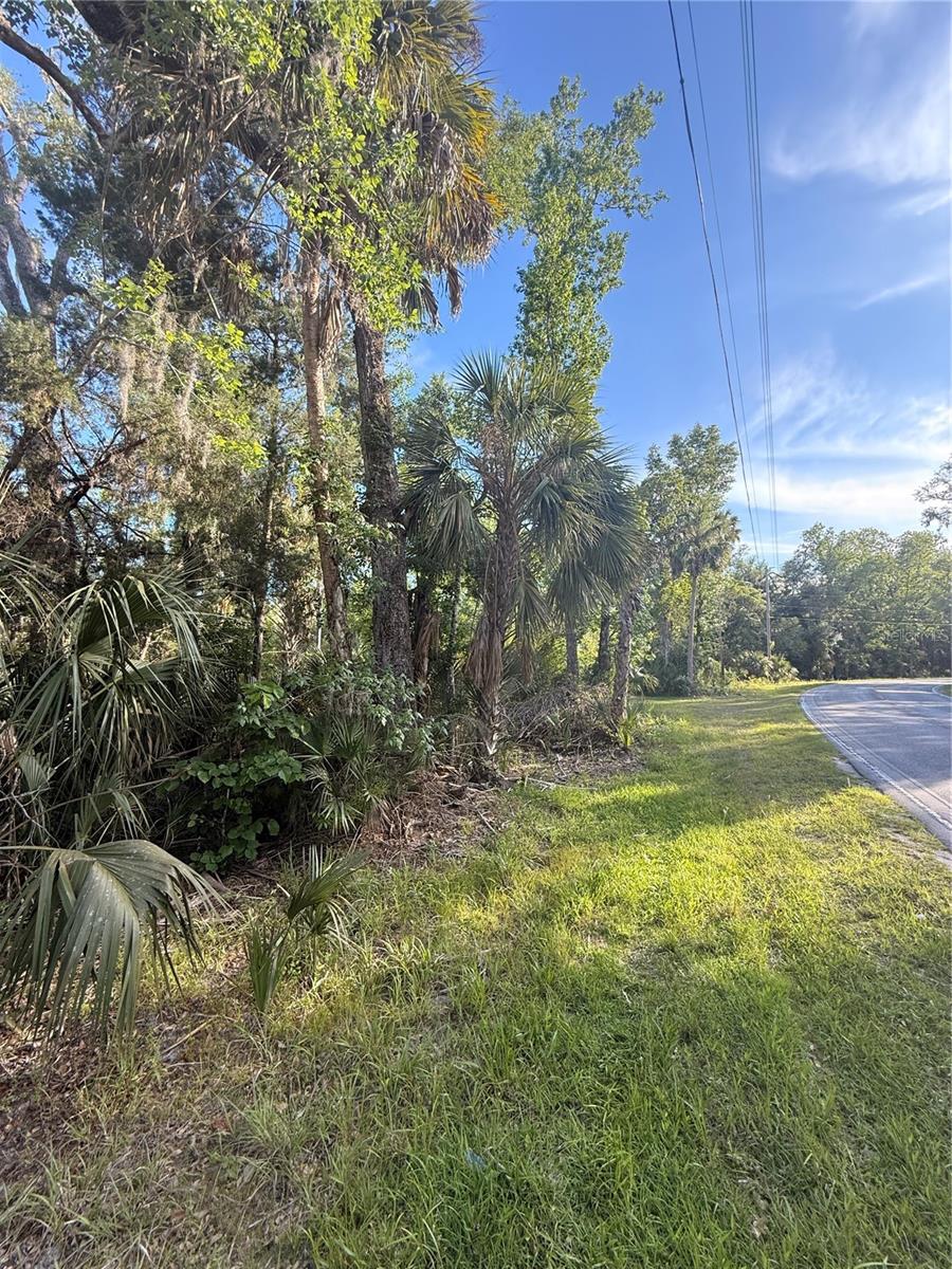 10274 W OZELLO TRL, CRYSTAL RIVER, FL — photo 6