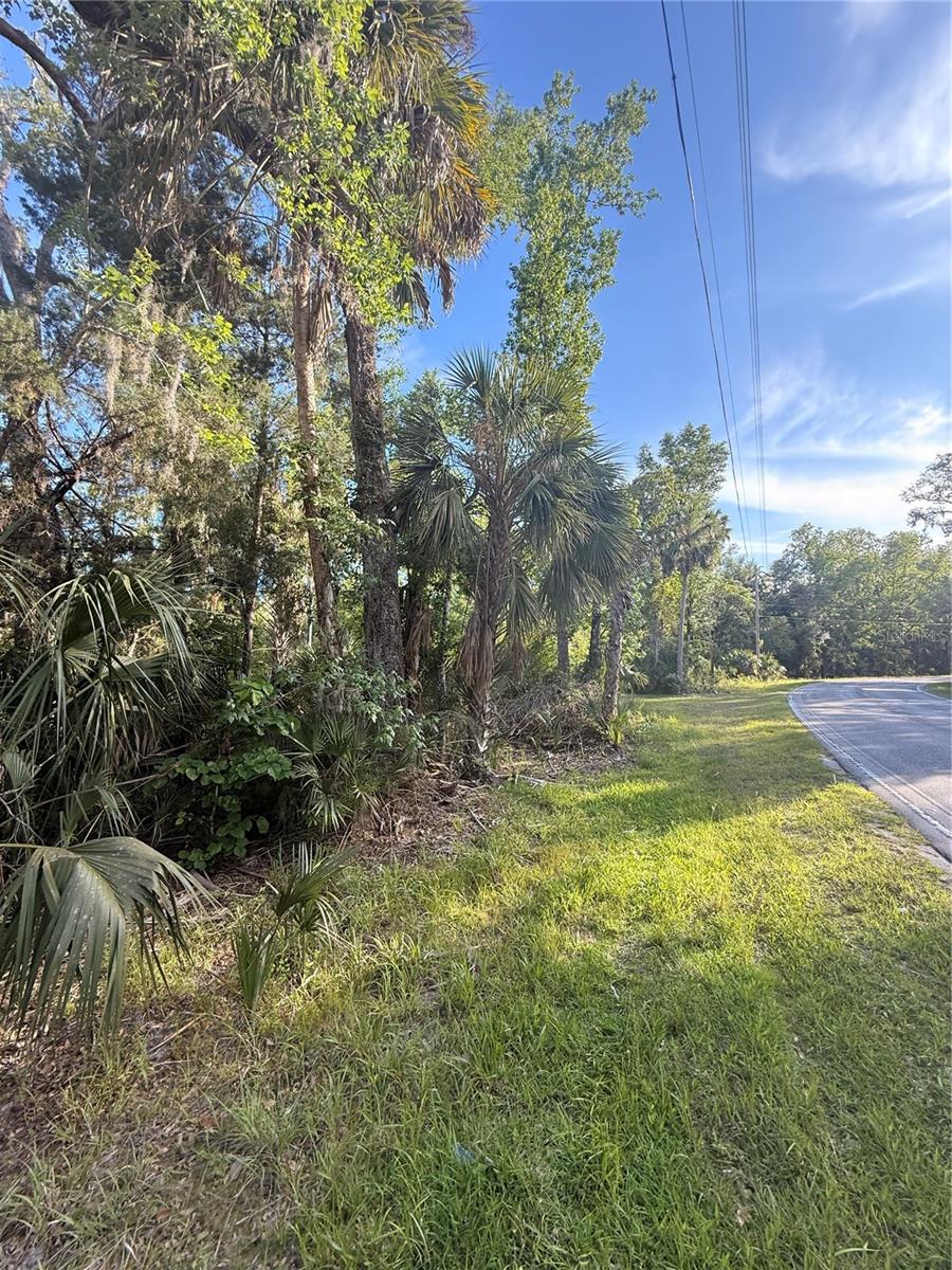 10274 W OZELLO TRL, CRYSTAL RIVER, FL — photo 11