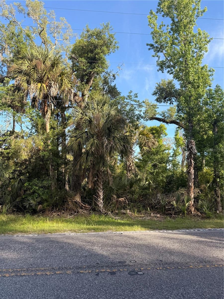 10274 W OZELLO TRL, CRYSTAL RIVER, FL — photo 13