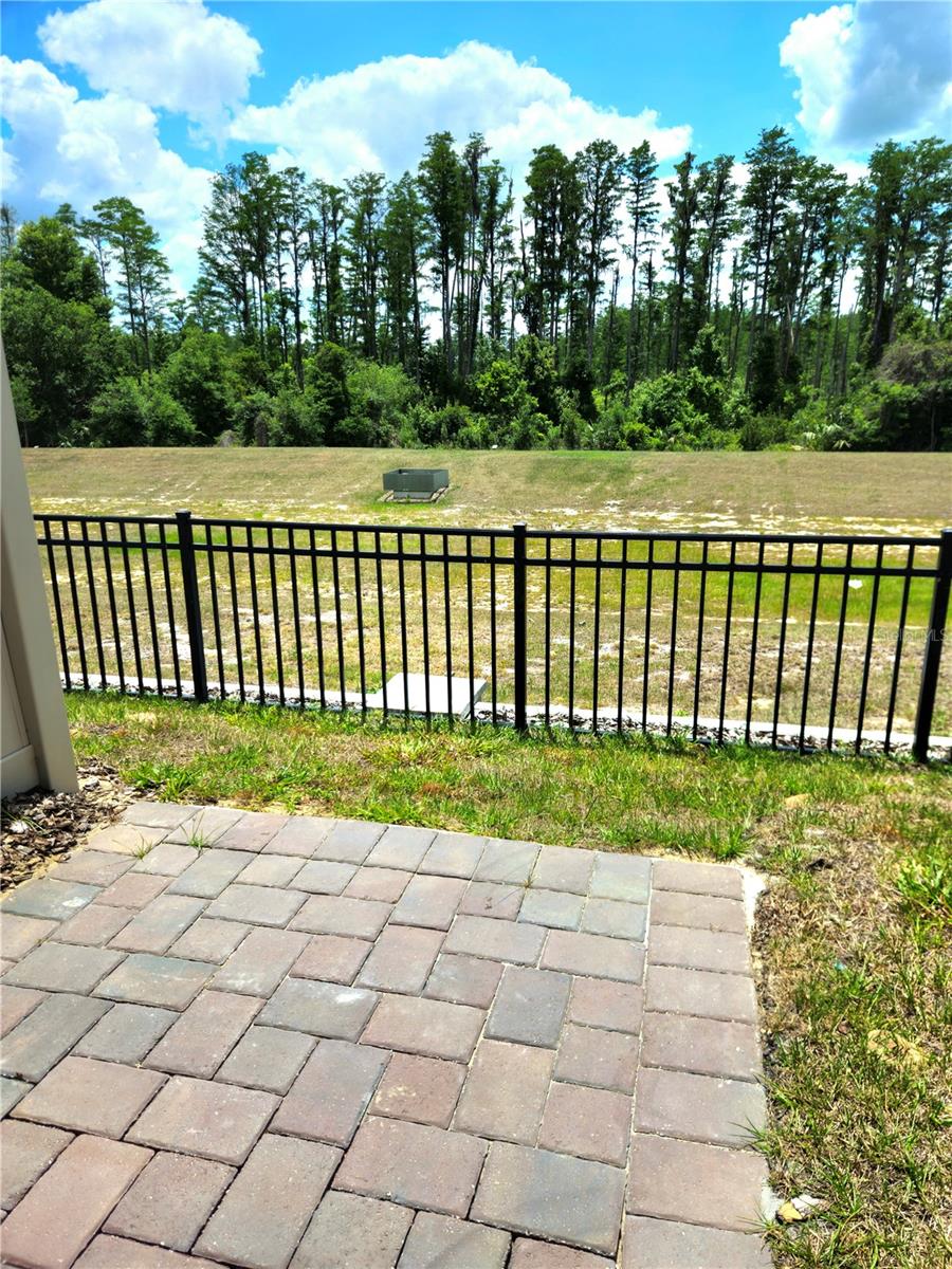 16305 BIRD OF PARADISE AVE, CLERMONT, FL — photo 65