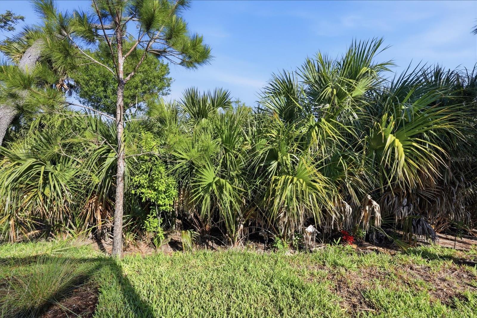 25029 PEARL LAKE CIR, ENGLEWOOD, FL — photo 40