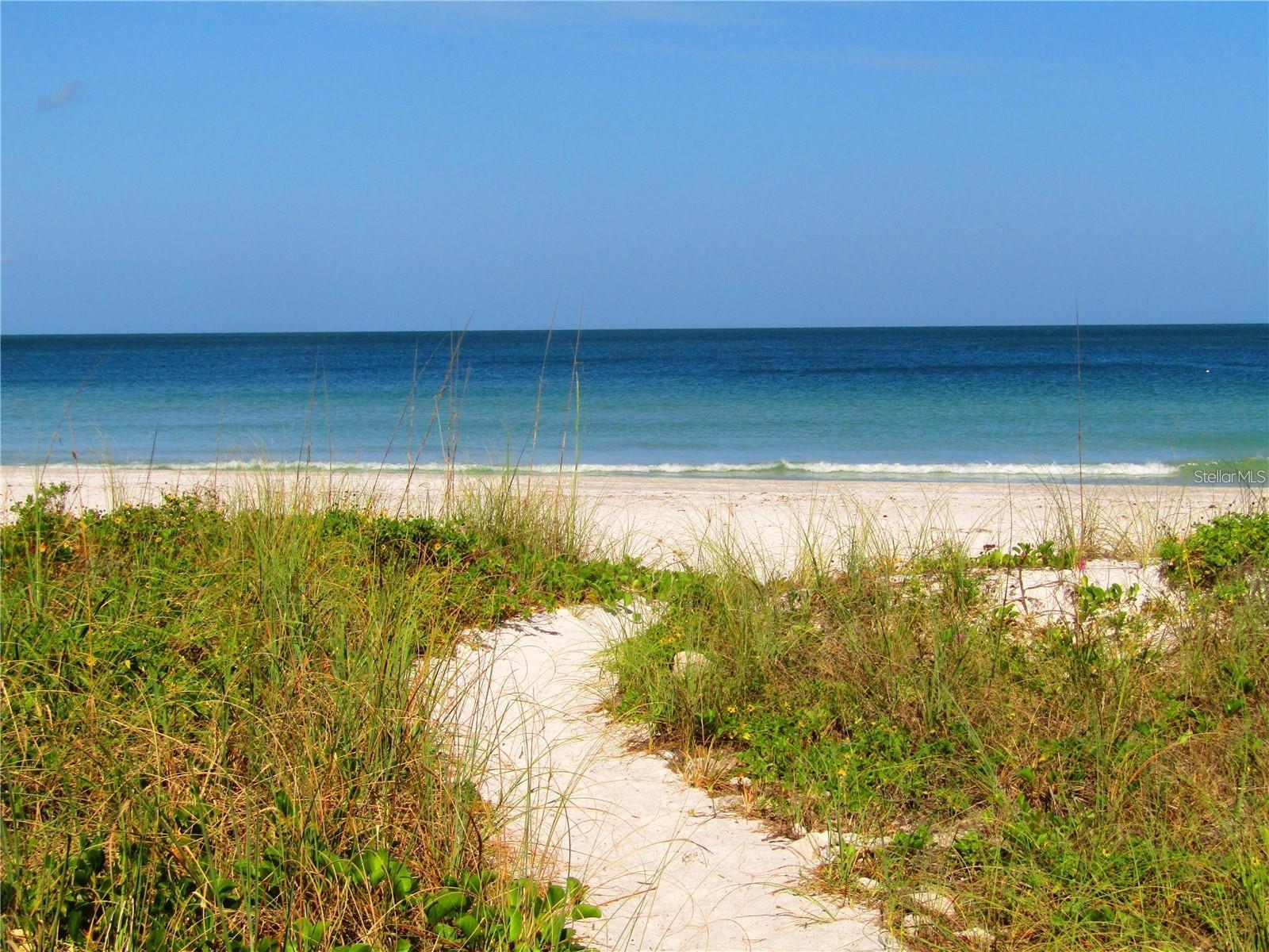 1460 GULF BLVD #308, CLEARWATER BEACH, FL — photo 36