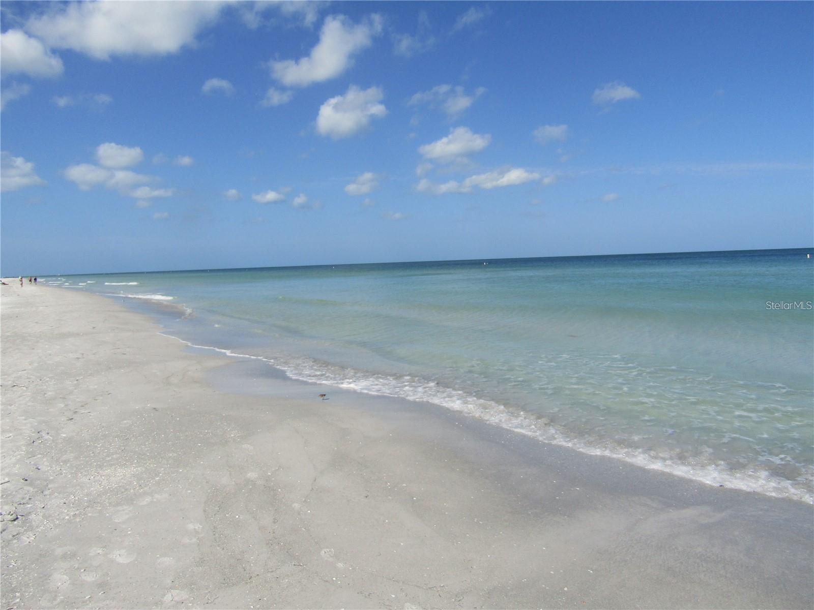1460 GULF BLVD #308, CLEARWATER BEACH, FL — photo 37