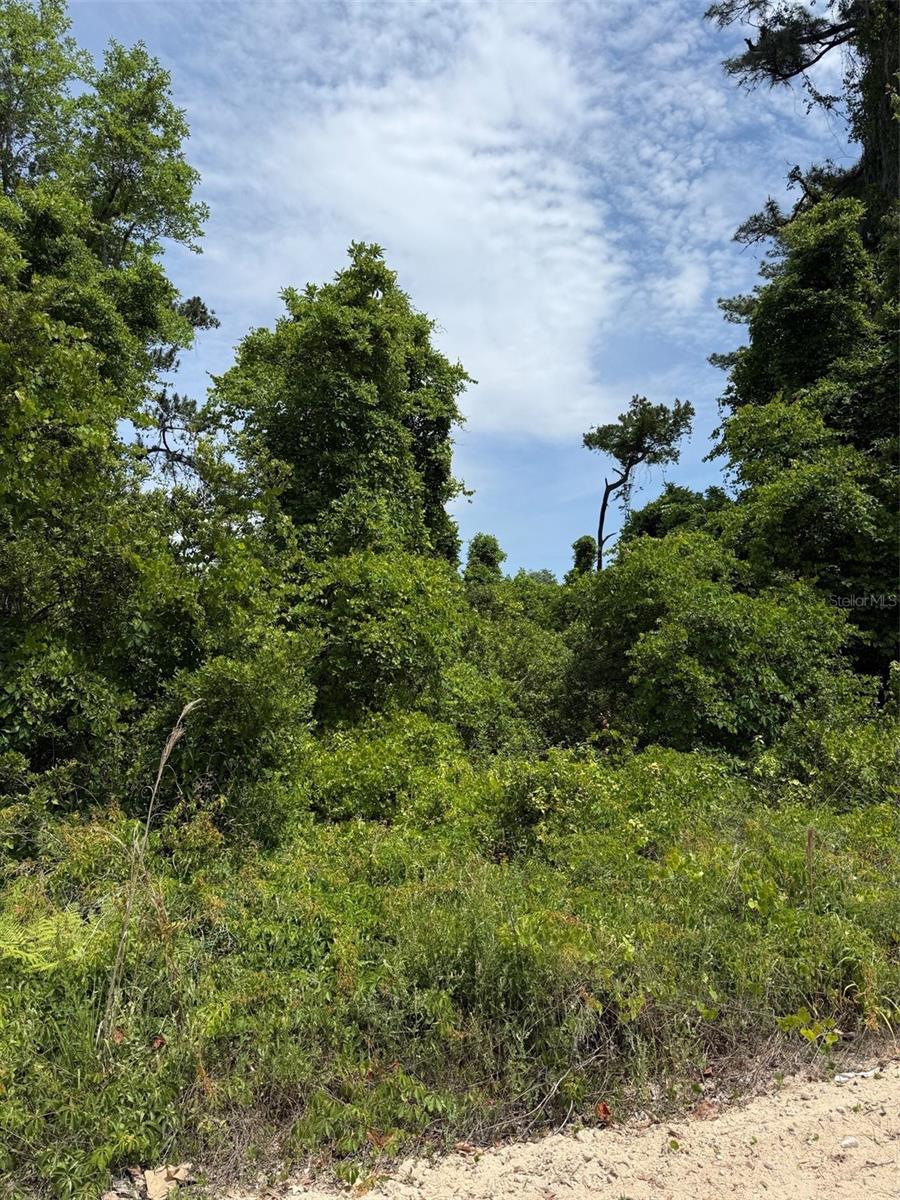 000 FOLKLORE DR, SATSUMA, FL — photo 2