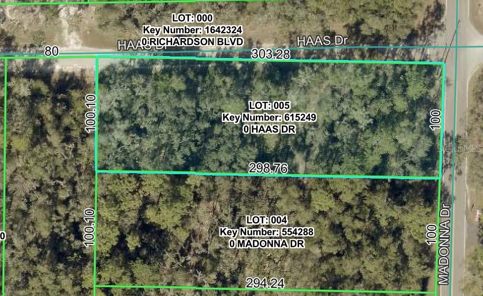 0 HAAS DR, WEBSTER, FL