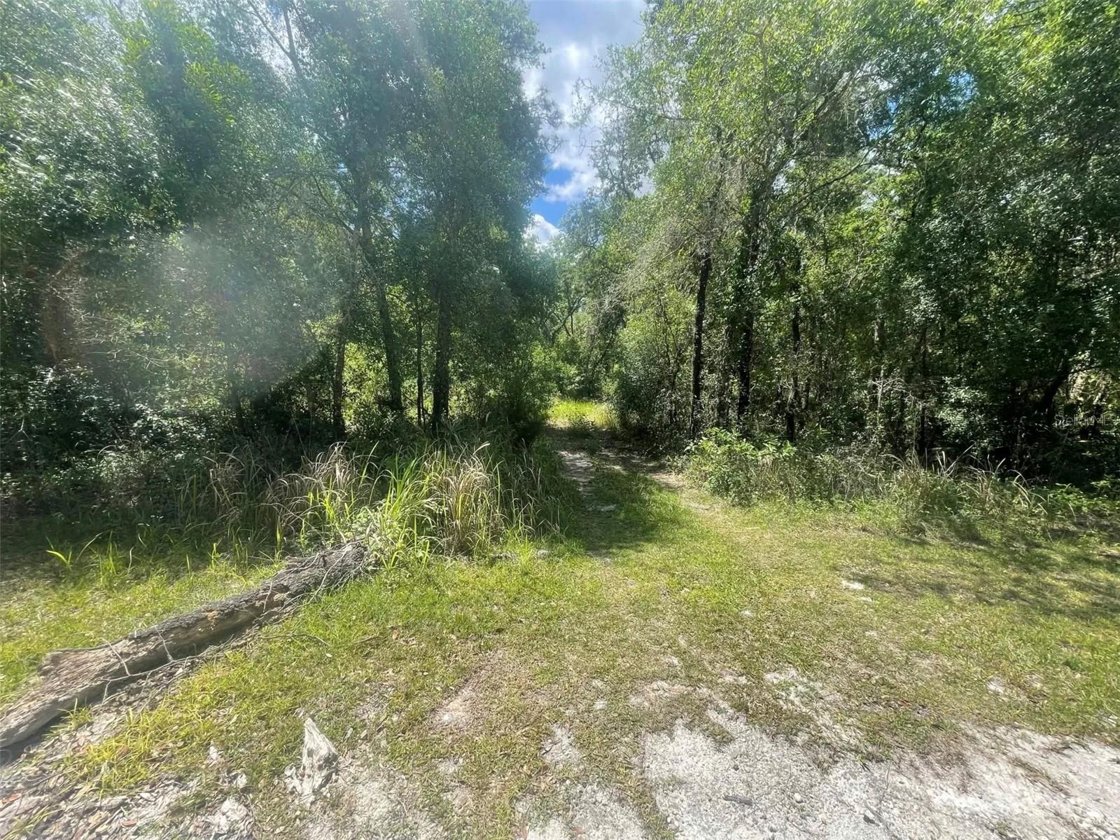 0 HAAS DR, WEBSTER, FL — photo 2