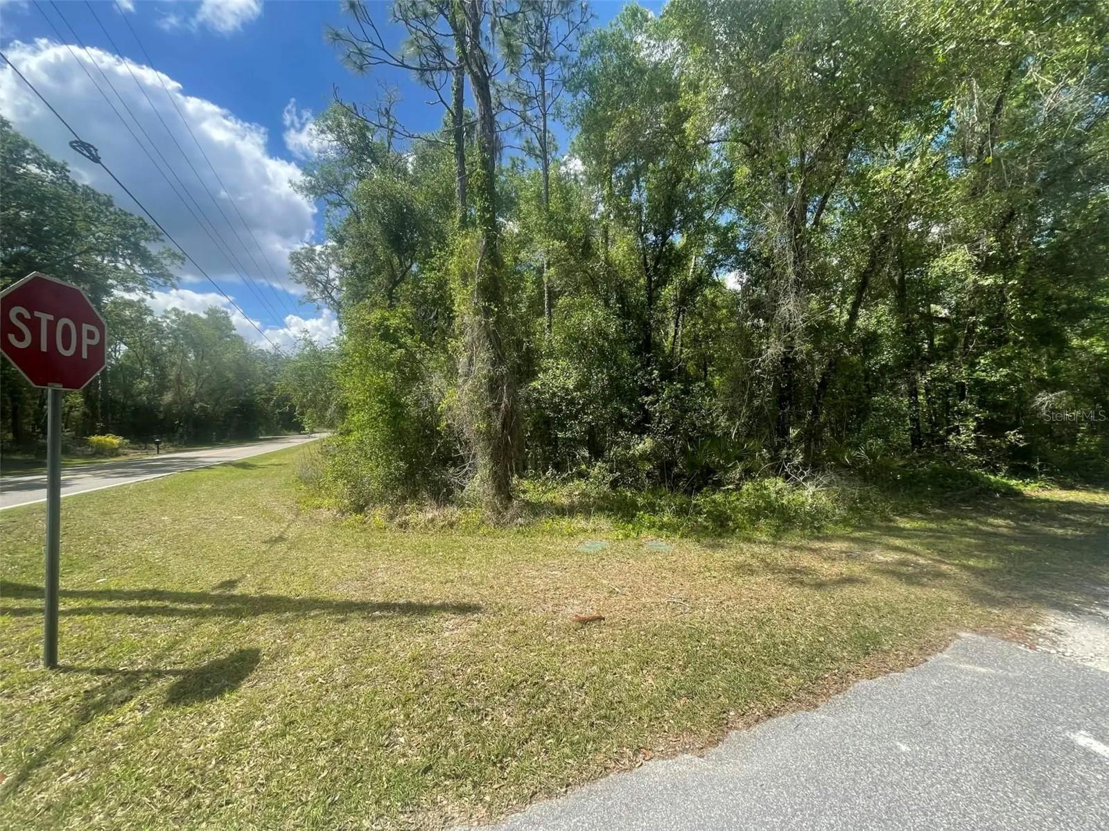 0 HAAS DR, WEBSTER, FL — photo 3