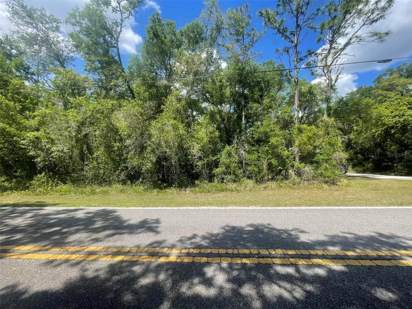 0 HAAS DR, WEBSTER, FL — photo 4