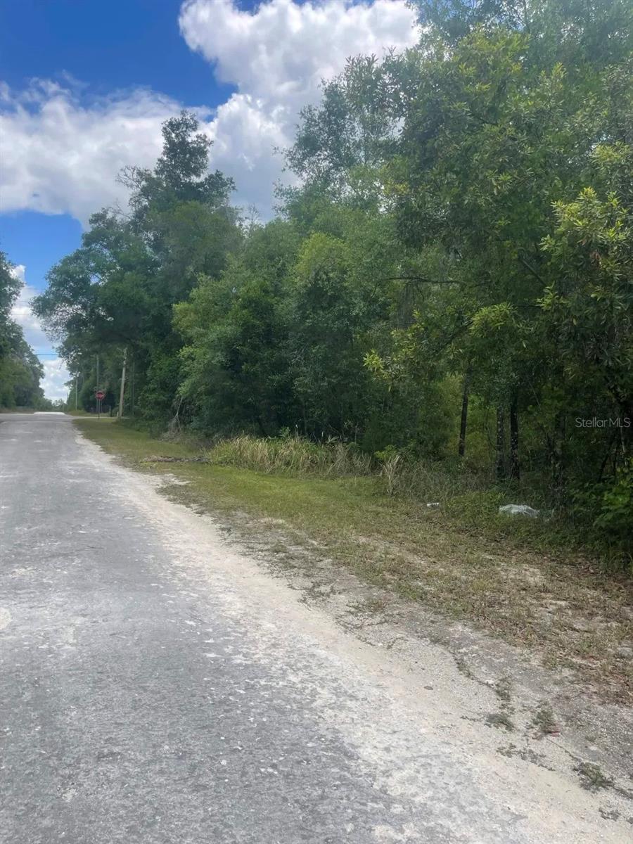 0 HAAS DR, WEBSTER, FL — photo 6