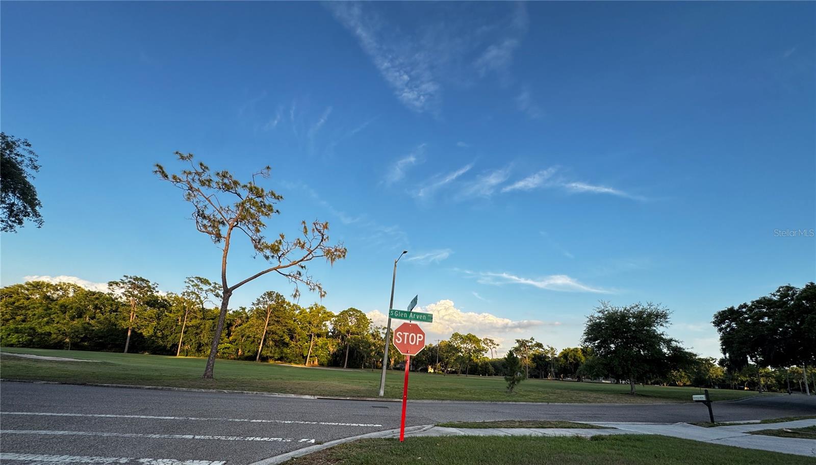 309 BELLE CLAIRE PL, TEMPLE TERRACE, FL — photo 37