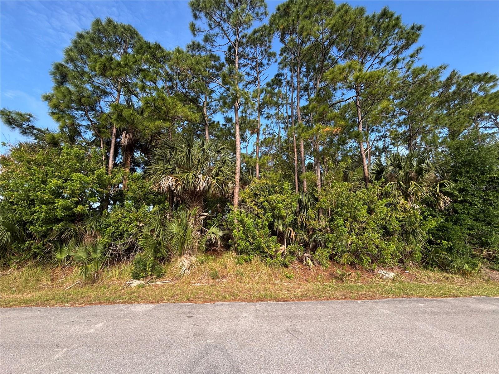 556 BURLINGTON AVE NE, PALM BAY, FL