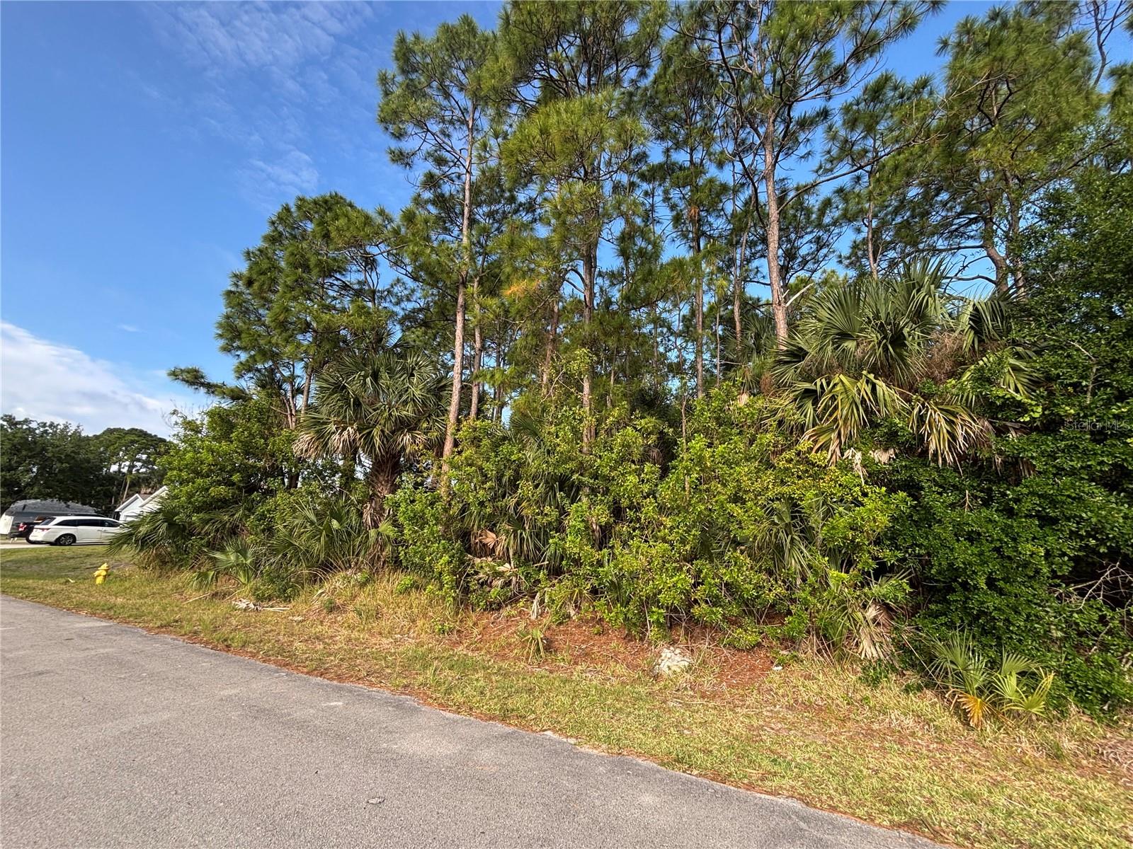 556 BURLINGTON AVE NE, PALM BAY, FL — photo 3