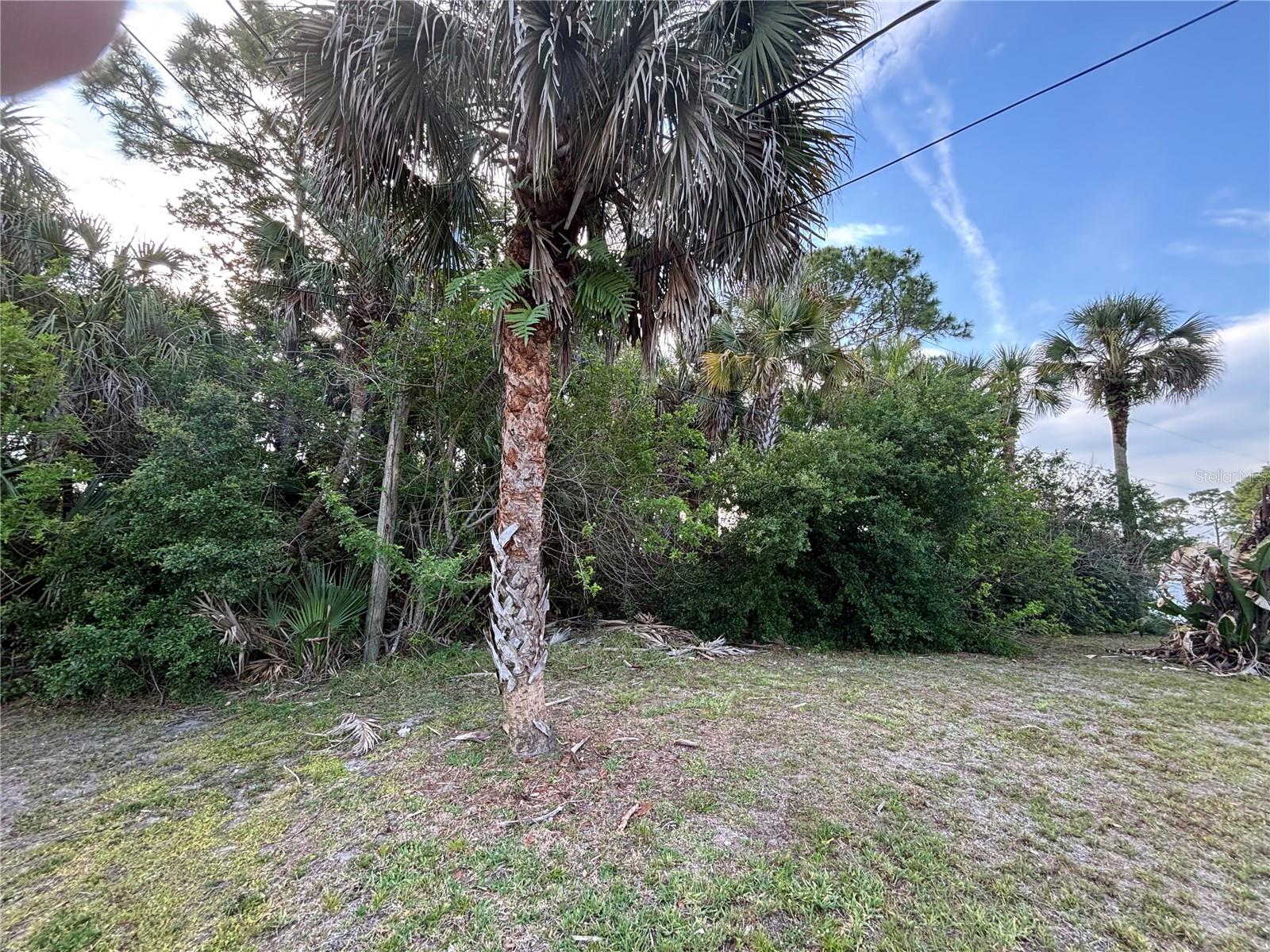 556 BURLINGTON AVE NE, PALM BAY, FL — photo 5