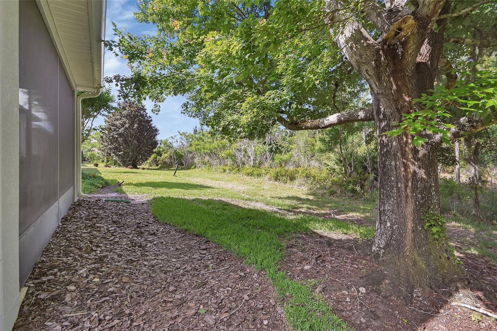 525 HERON POINT WAY, DELAND, FL — photo 44