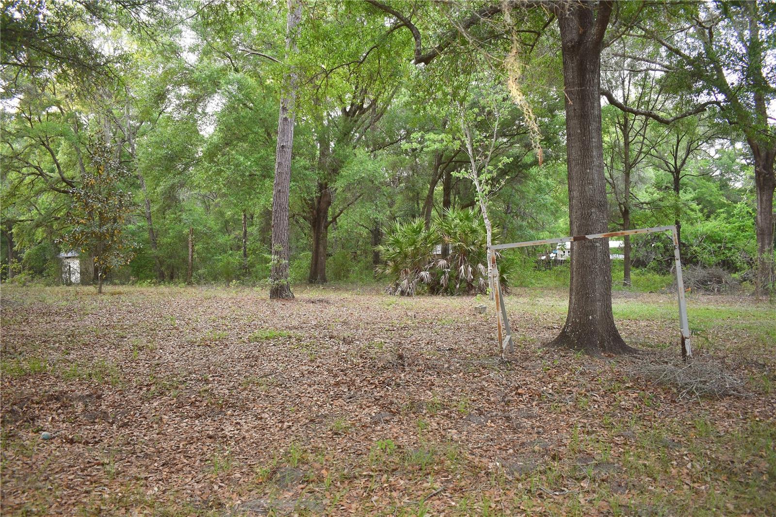 8231 NE 111TH ST, BRONSON, FL — photo 18