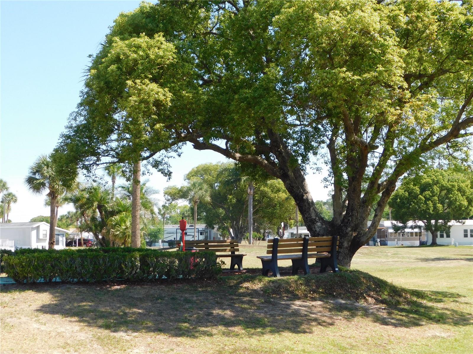 9000 US HIGHWAY 192 #166, CLERMONT, FL — photo 58