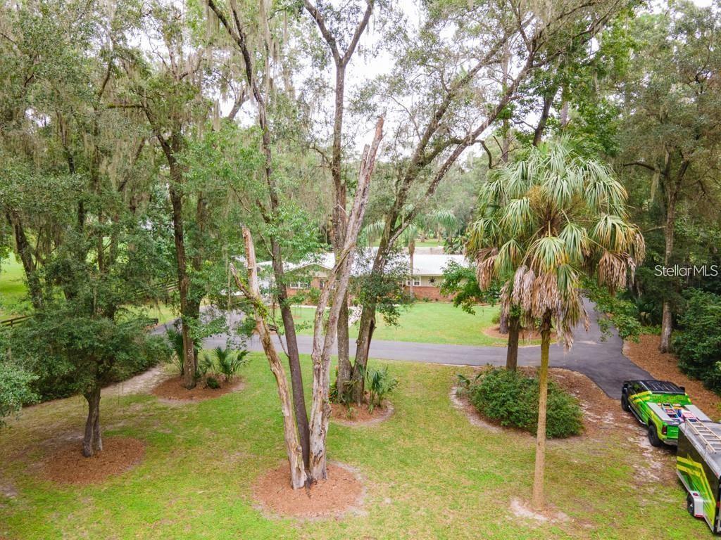 3341 SE 45TH ST, OCALA, FL — photo 51
